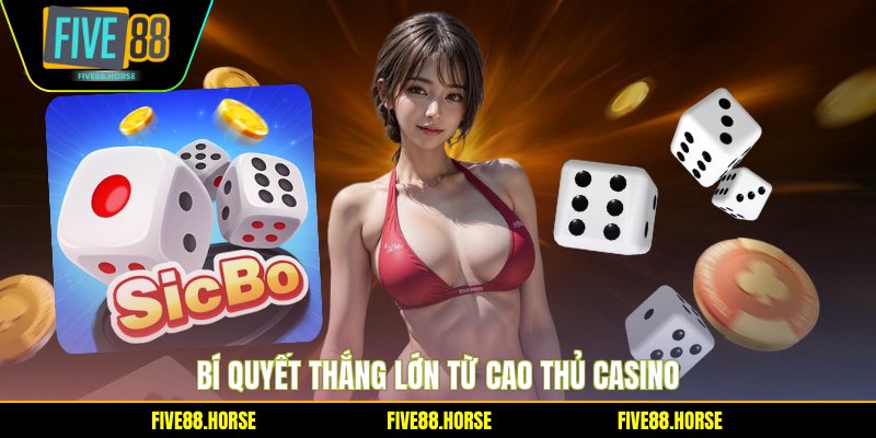 Bí quyết thắng lớn từ cao thủ casino